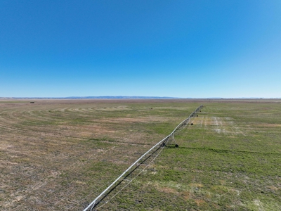 Eastern Oregon Airport Acres Outside of Burns - image 29