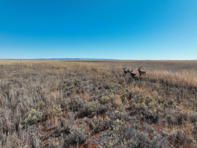 Eastern Oregon Airport Acres Outside of Burns - image 43