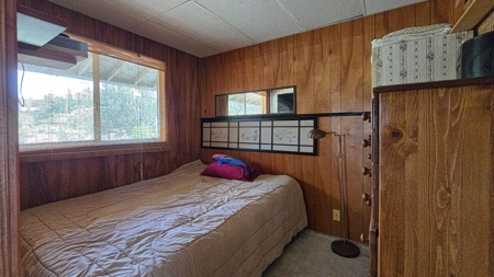 2 homes on 2 Hawaii acres—ocean views, privacy, and rental - image 32