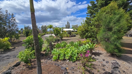 2 homes on 2 Hawaii acres—ocean views, privacy, and rental - image 20