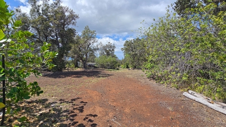 2 homes on 2 Hawaii acres—ocean views, privacy, and rental - image 34