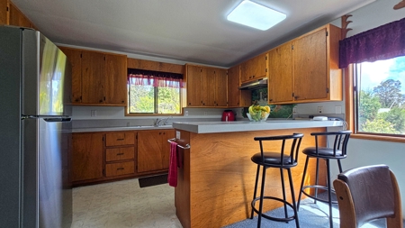 2 homes on 2 Hawaii acres—ocean views, privacy, and rental - image 21