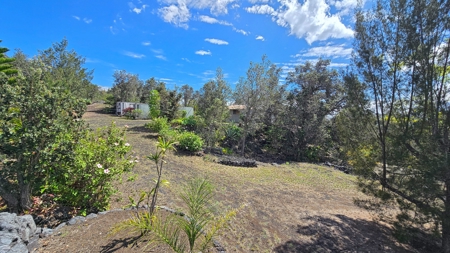 2 homes on 2 Hawaii acres—ocean views, privacy, and rental - image 35