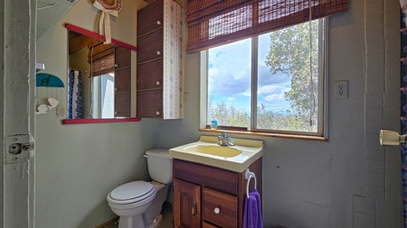 2 homes on 2 Hawaii acres—ocean views, privacy, and rental - image 30