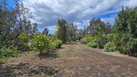 2 homes on 2 Hawaii acres—ocean views, privacy, and rental - image 42
