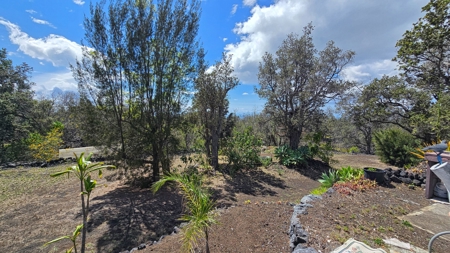 2 homes on 2 Hawaii acres—ocean views, privacy, and rental - image 36