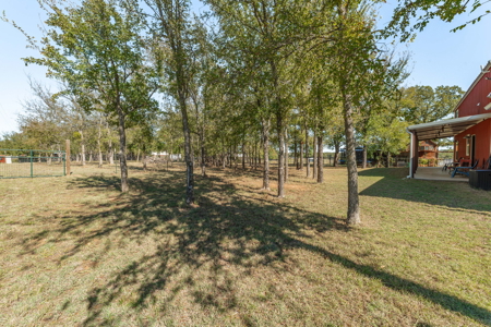 Discover this Income Producing Barndominium in Weatherford, Texas - image 26
