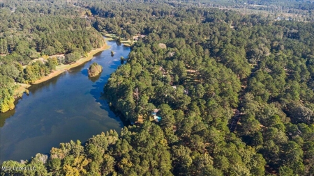 Executive Brick Home with Pool and Lake in McComb MS - image 39
