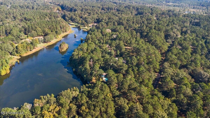 Executive Brick Home with Pool and Lake in McComb MS