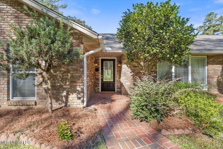 Executive Brick Home with Pool and Lake in McComb MS - image 2