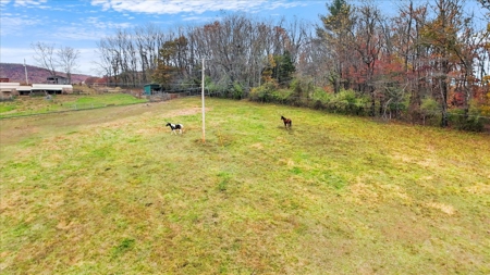 Country Home for Sale in Max Meadows VA - image 44