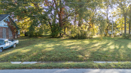Residential Land Lot for Sale in Jackson, TN - image 6