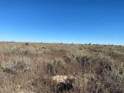 Affordable Homesite Lot in Moriarty NM | 4.295 Acres - image 2