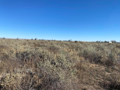 Affordable Homesite Lot in Moriarty NM | 4.295 Acres - image 3