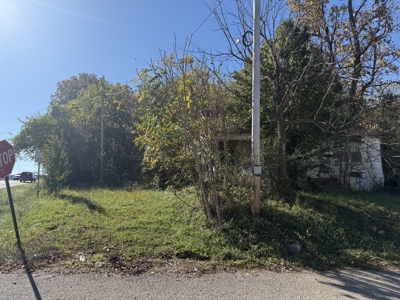 Residential Lot for sale in Thayer, Missouri - image 3