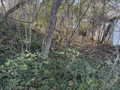 Residential Lot for sale in Thayer, Missouri - image 7