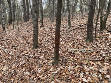 Listing 28