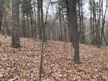 Listing 28