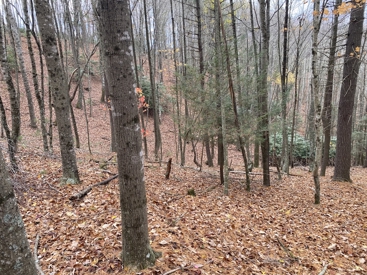 Listing 28