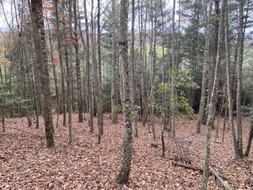 Listing 28
