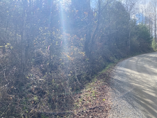 Wooded Land Tract for Sale in Willis VA!