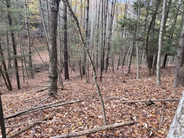 Listing 28