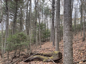 Listing 28