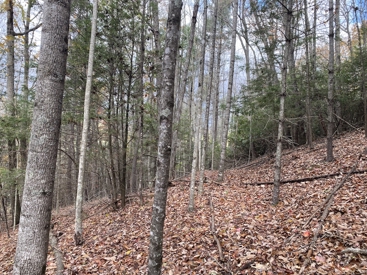 Listing 28