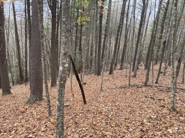 Listing 28