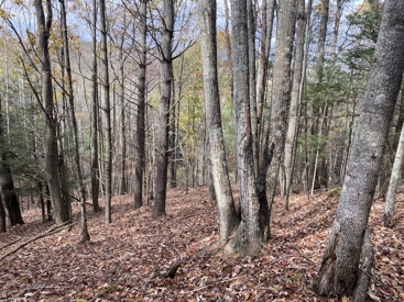 Listing 28