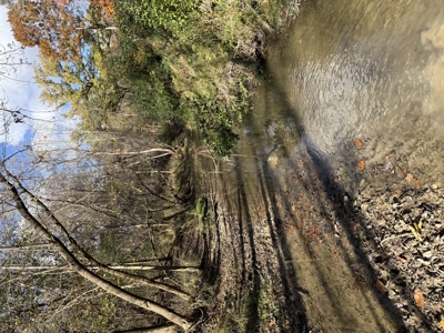 Hunting land for sale in Michigan - image 38