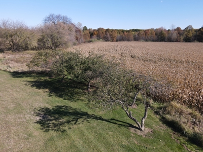 Hunting land for sale in Michigan - image 10