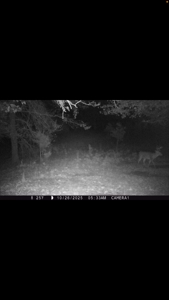 Hunting land for sale in Michigan - image 39