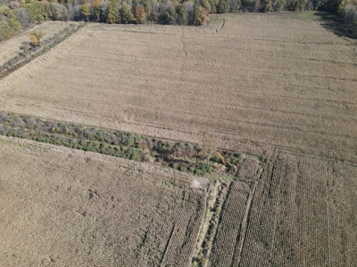 Hunting land for sale in Michigan - image 8