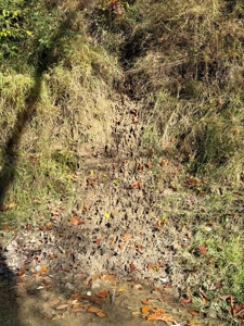 Hunting land for sale in Michigan - image 35