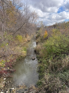 Hunting land for sale in Michigan - image 30