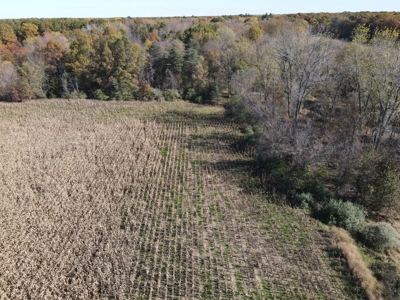 Hunting land for sale in Michigan - image 12