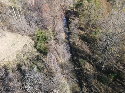 Hunting land for sale in Michigan - image 13