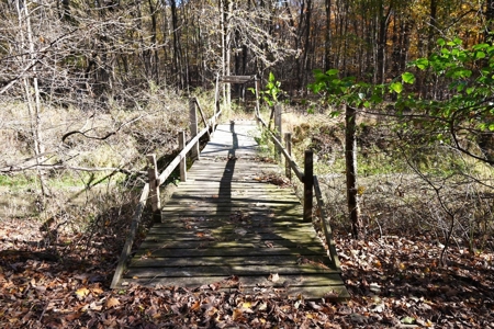 Hunting land for sale in Michigan - image 18