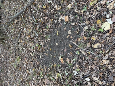 Hunting land for sale in Michigan - image 34