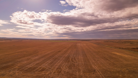 Northern Plains Farm & Ranch | 2,193± Acres | Daniels County, Mon - image 31