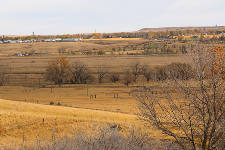 Northern Plains Farm & Ranch | 2,193± Acres | Daniels County, Mon - image 13