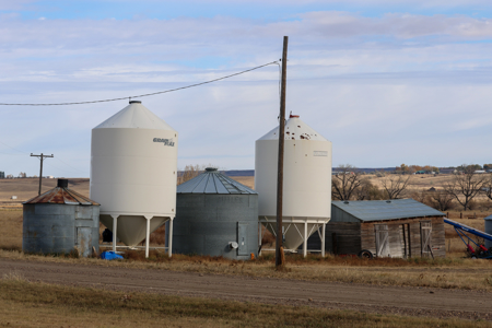 Northern Plains Farm & Ranch | 2,193± Acres | Daniels County, Mon - image 12