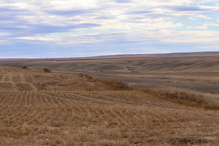 Northern Plains Farm & Ranch | 2,193± Acres | Daniels County, Mon - image 44