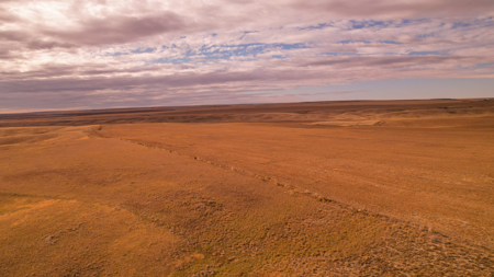 Northern Plains Farm & Ranch | 2,193± Acres | Daniels County, Mon - image 45