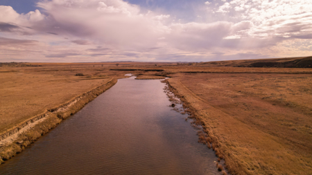 Northern Plains Farm & Ranch | 2,193± Acres | Daniels County, Mon - image 5
