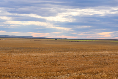 Northern Plains Farm & Ranch | 2,193± Acres | Daniels County, Mon - image 22