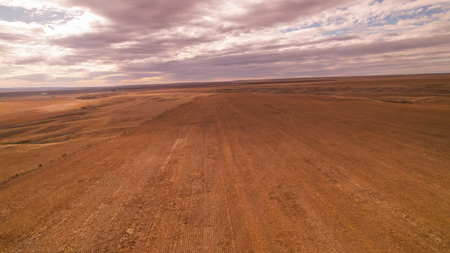 Northern Plains Farm & Ranch | 2,193± Acres | Daniels County, Mon - image 10