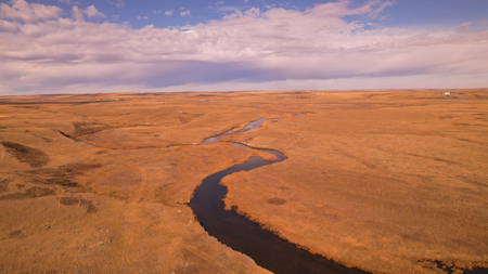 Northern Plains Farm & Ranch | 2,193± Acres | Daniels County, Mon - image 25