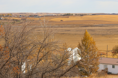 Northern Plains Farm & Ranch | 2,193± Acres | Daniels County, Mon - image 16